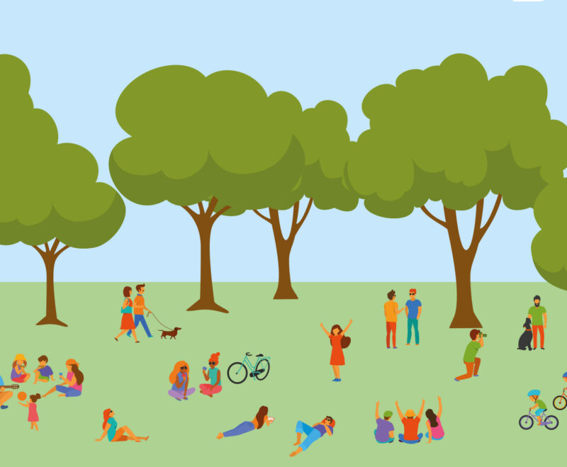 Imatge Aplec del Remei 2025