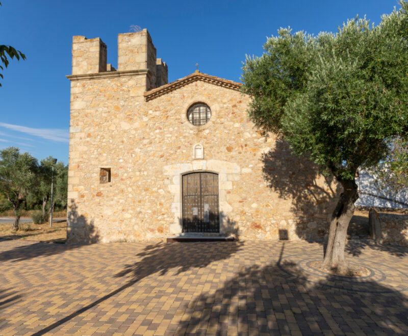 Imatge 18è Aplec del Patrocini