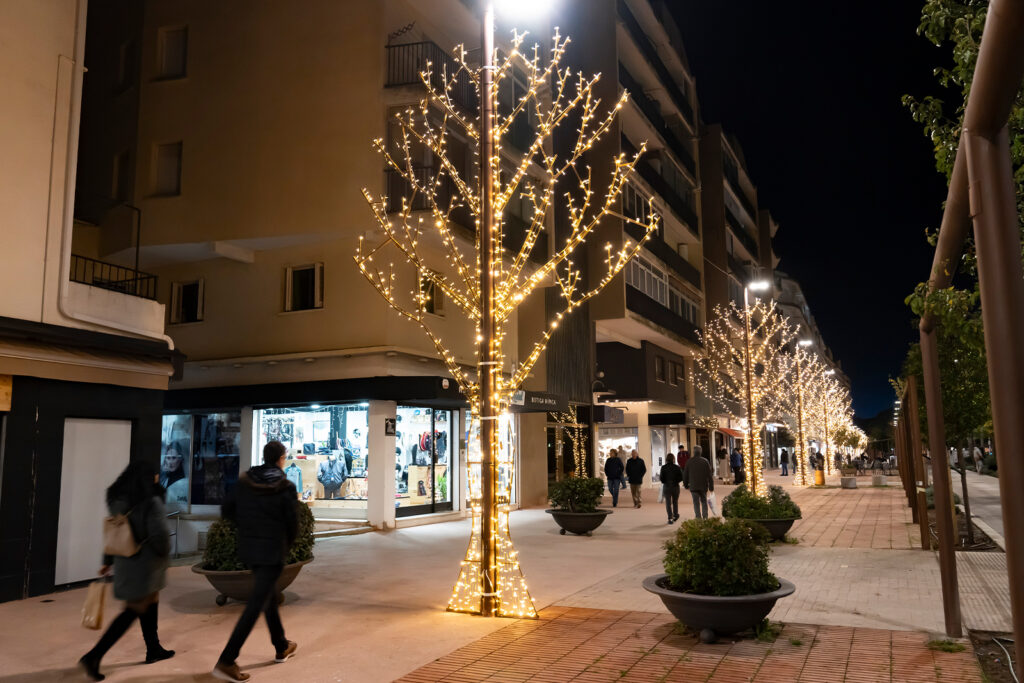 Il·luminació de Nadal a l’Av. Dr. Fleming