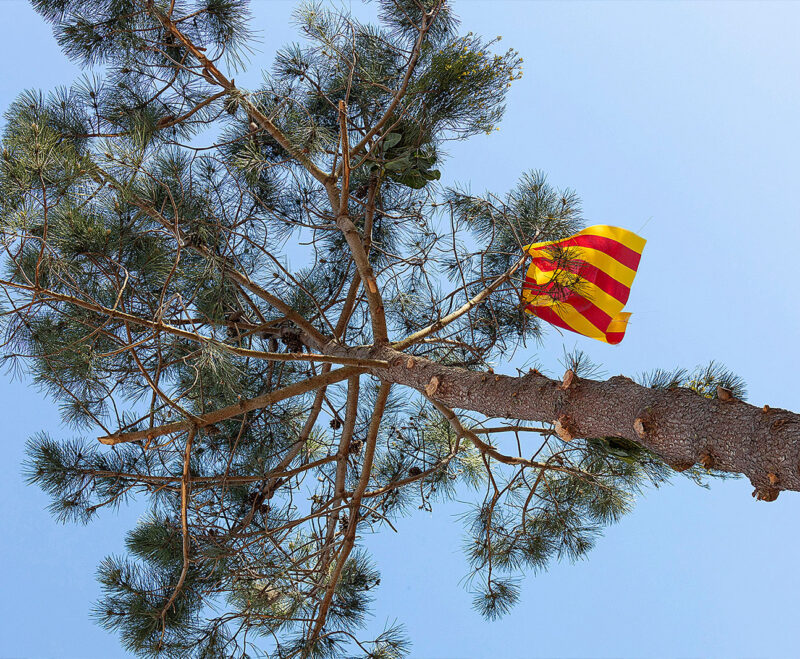 Imatge Festa de Pasqüetes a Castell d’Aro