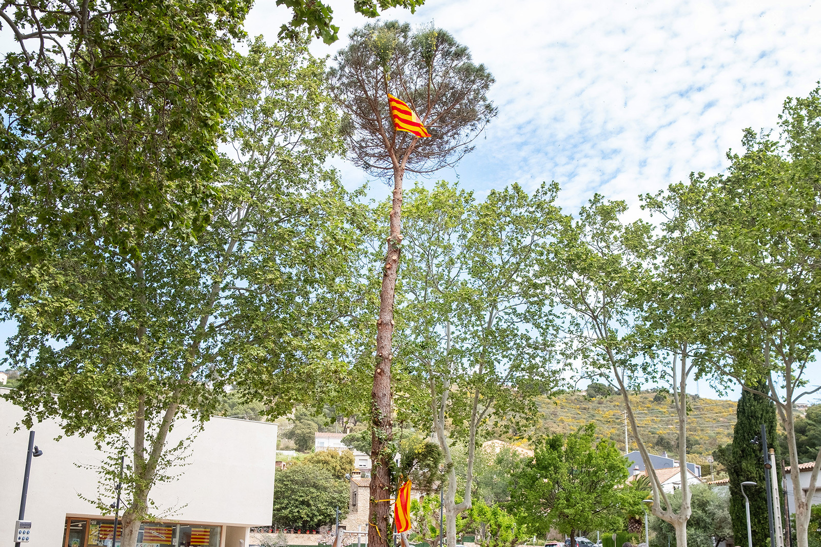 Castell d’Aro celebra Pasqüetes