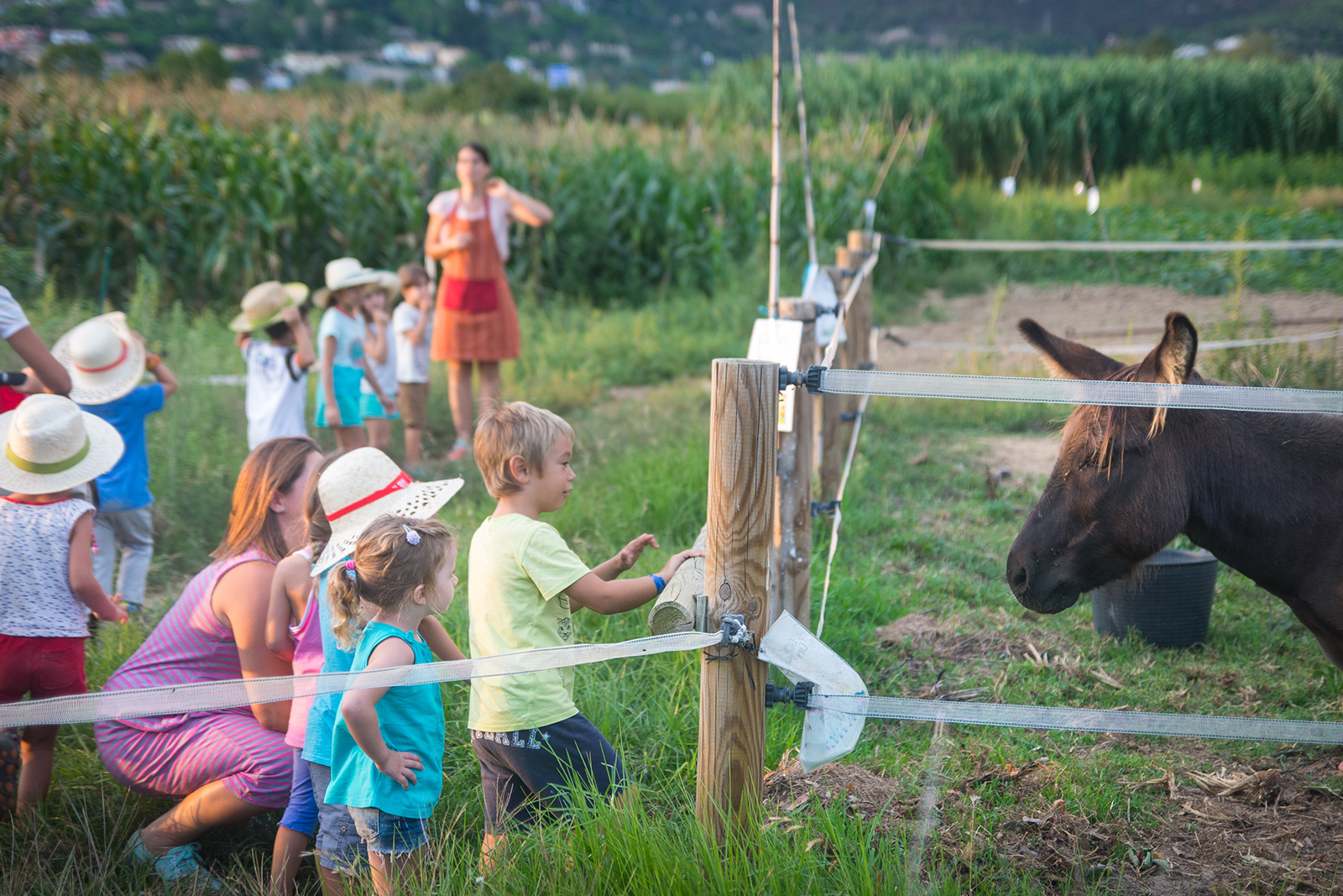 Visites guiades i activitats de descoberta