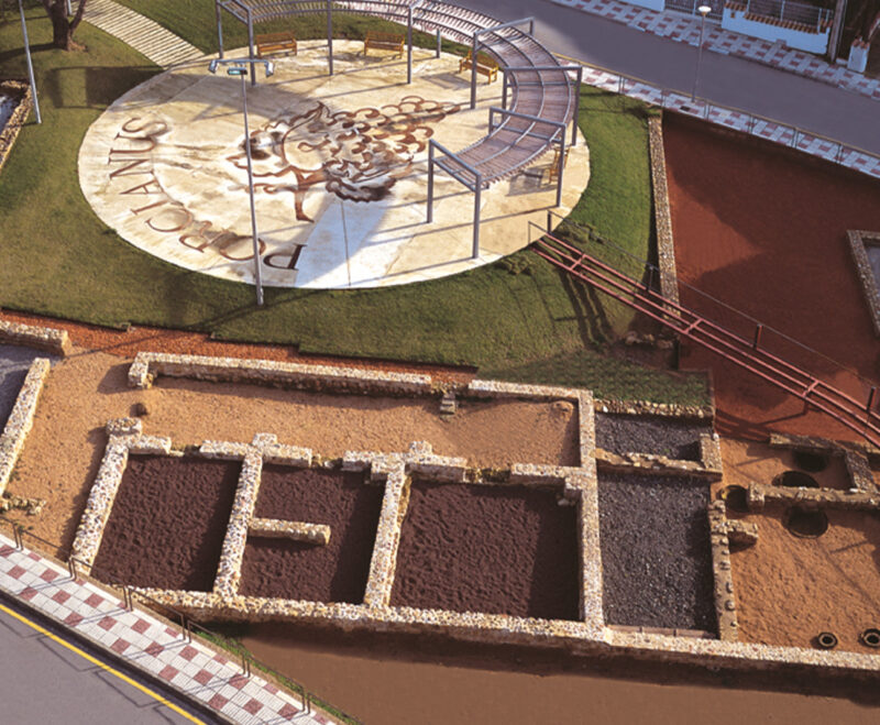 Imatge Èxit de la jornada DO Porcianus