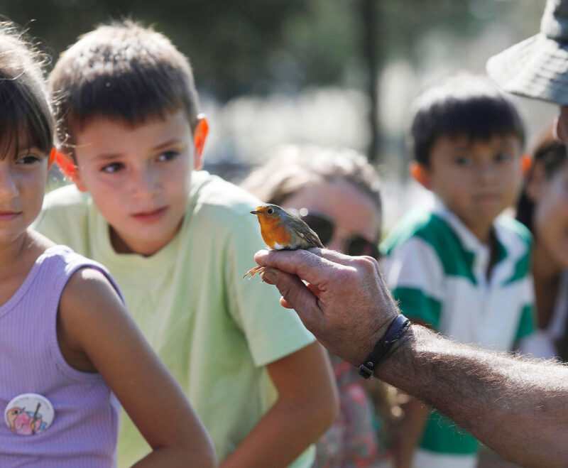 Imatge Celebració del Dia Mundial dels Ocells