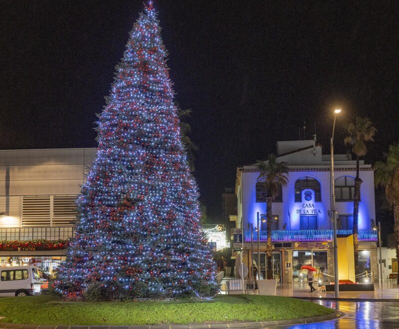 Imatge L’Avet d’Avets de Platja d’Aro