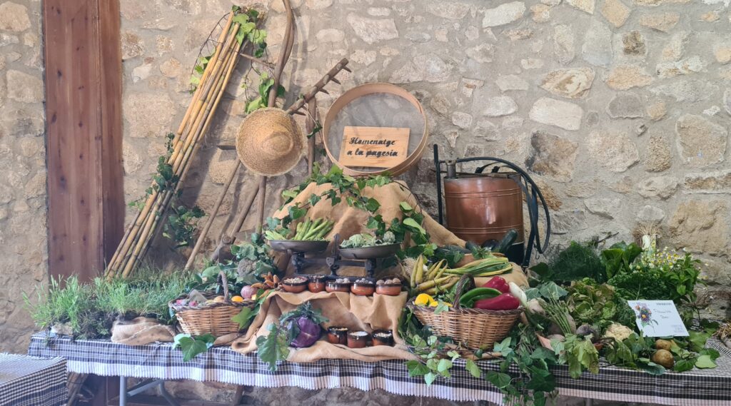 fotografia d'un conjunt de fruits