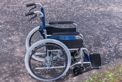 Un Carnaval per a tothom