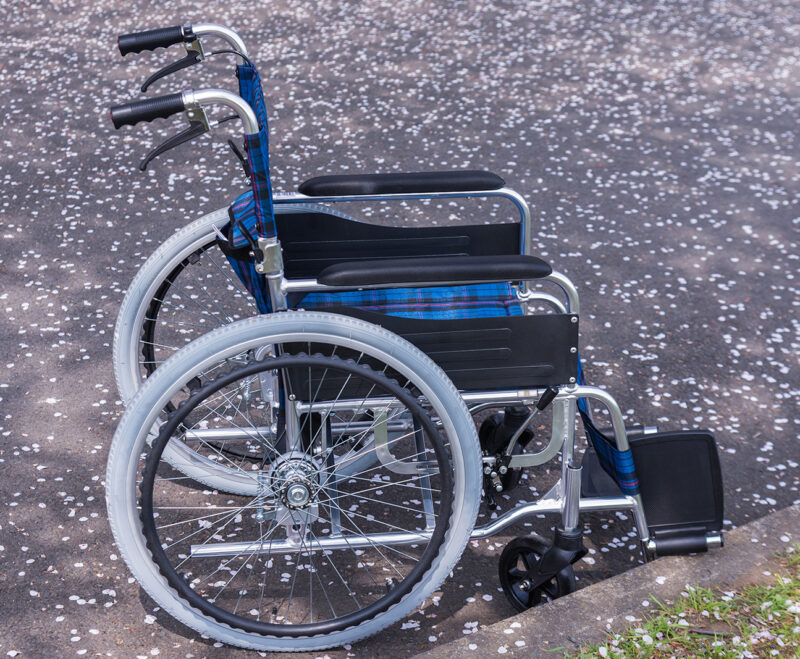 Imatge Un Carnaval per a tothom