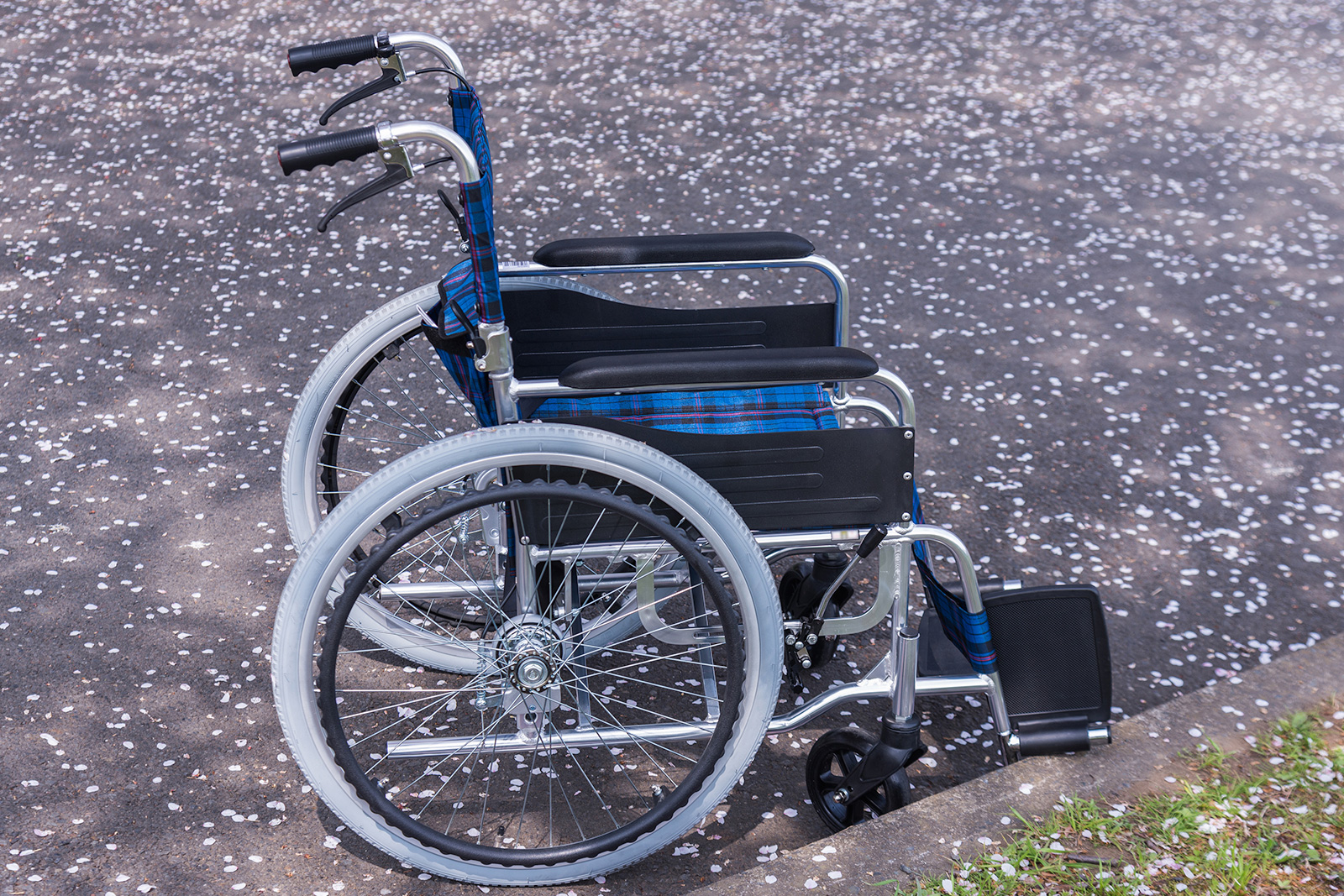 Un Carnaval per a tothom