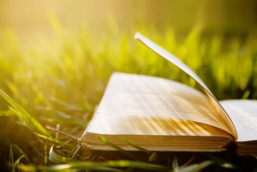 Crida a les autores i autors locals