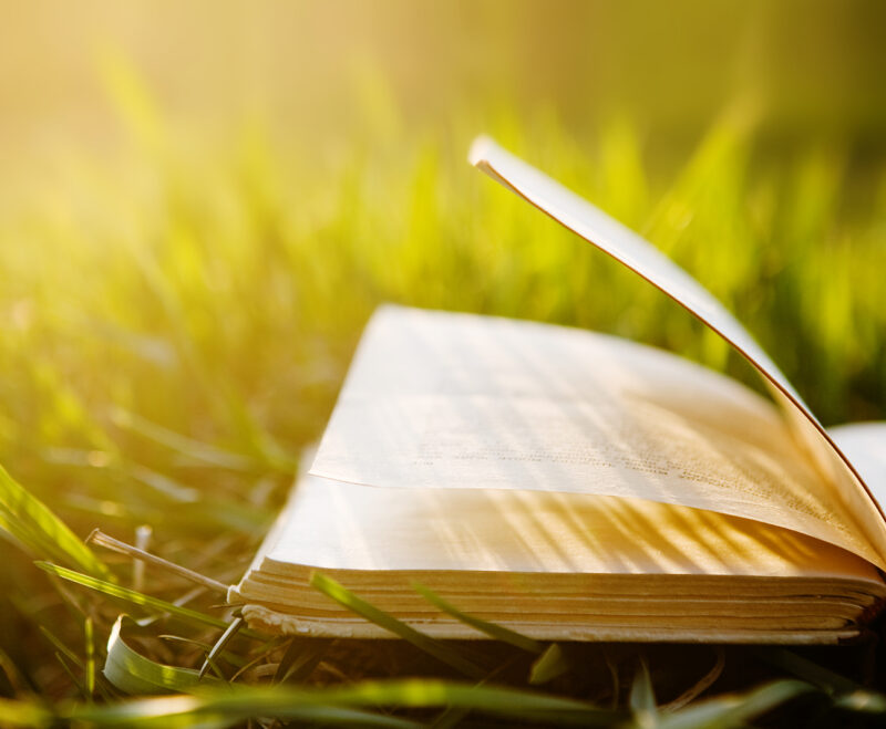 Imatge Crida a les autores i autors locals