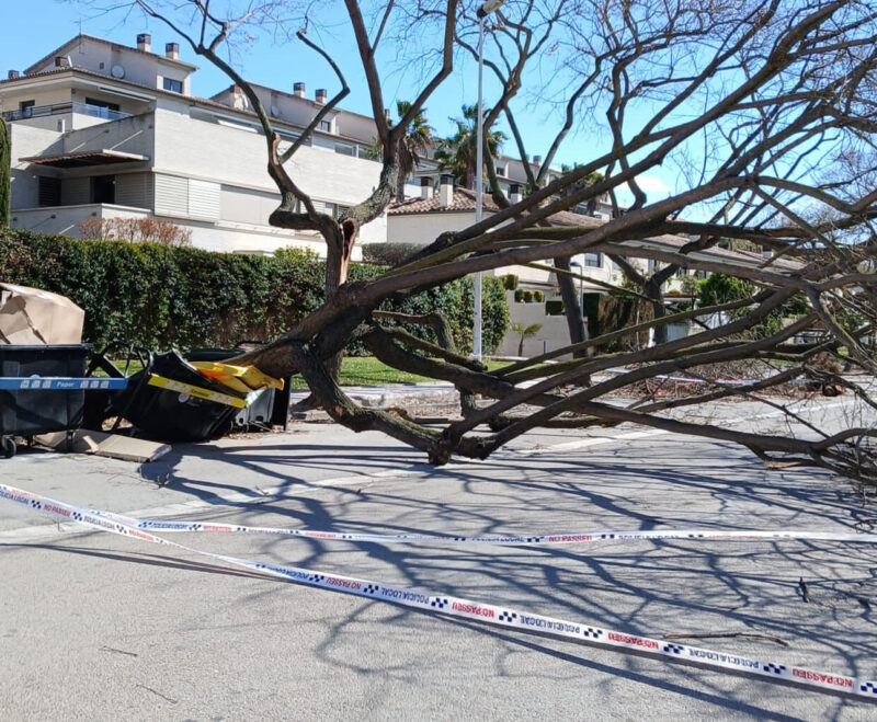 Imatge Balanç dels efectes de la ventada