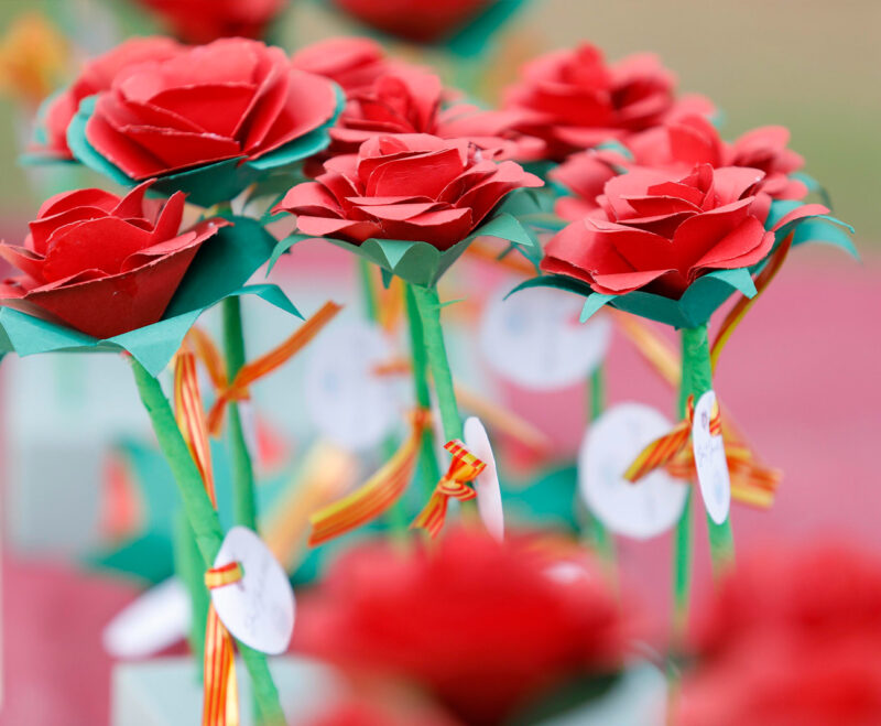 Imatge Lliurament de guardons culturals