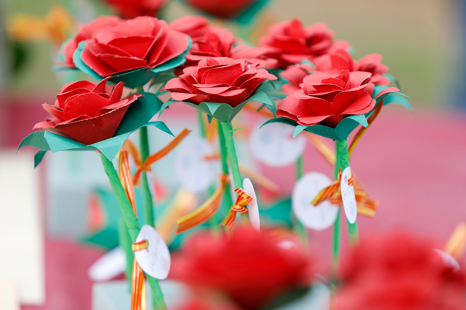 Lliurament premis sant Jordi