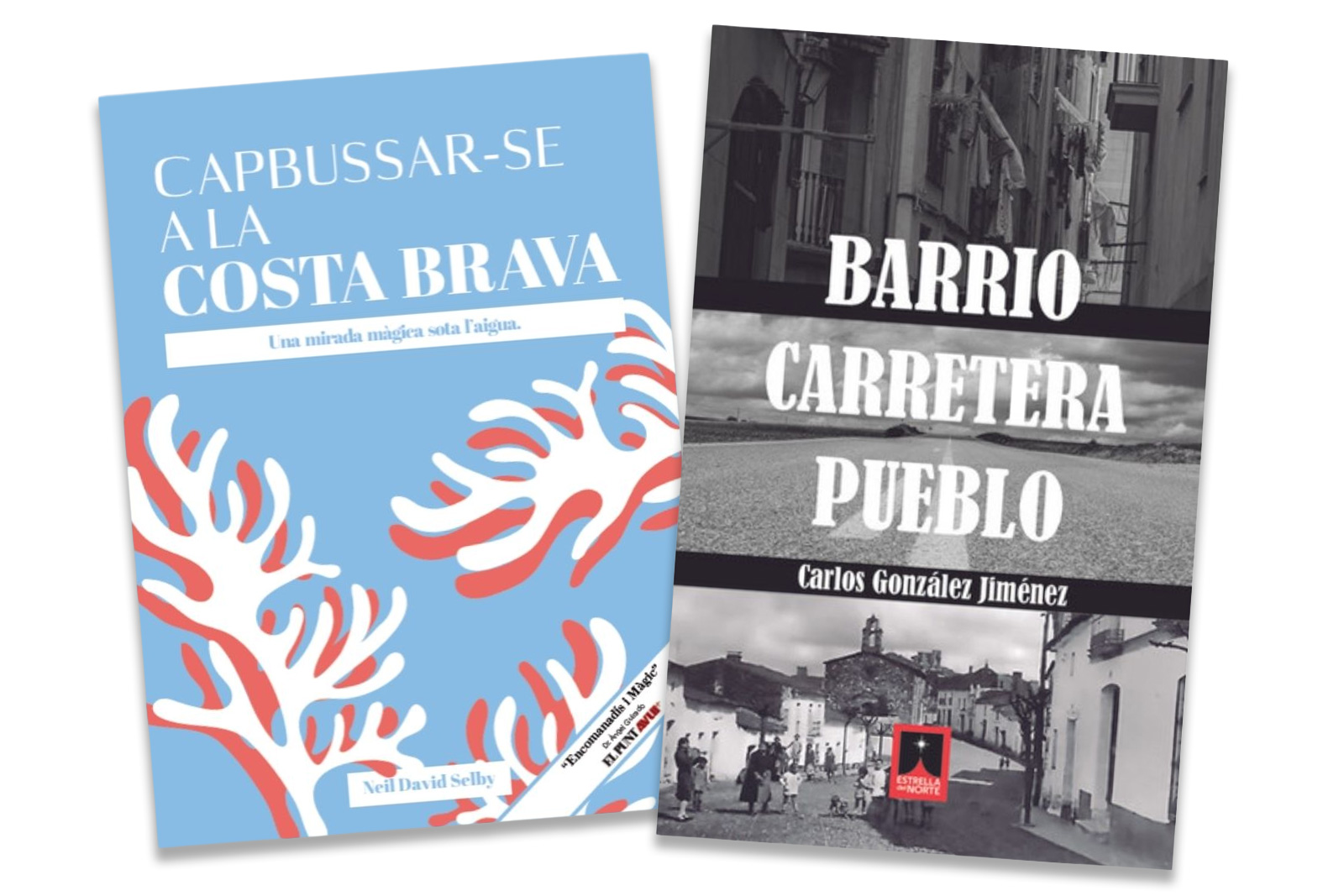 Noves presentacions literàries d'autors locals