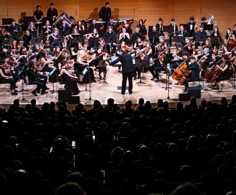 Imatge Concert nocturn de clàssica a la Platja Gran