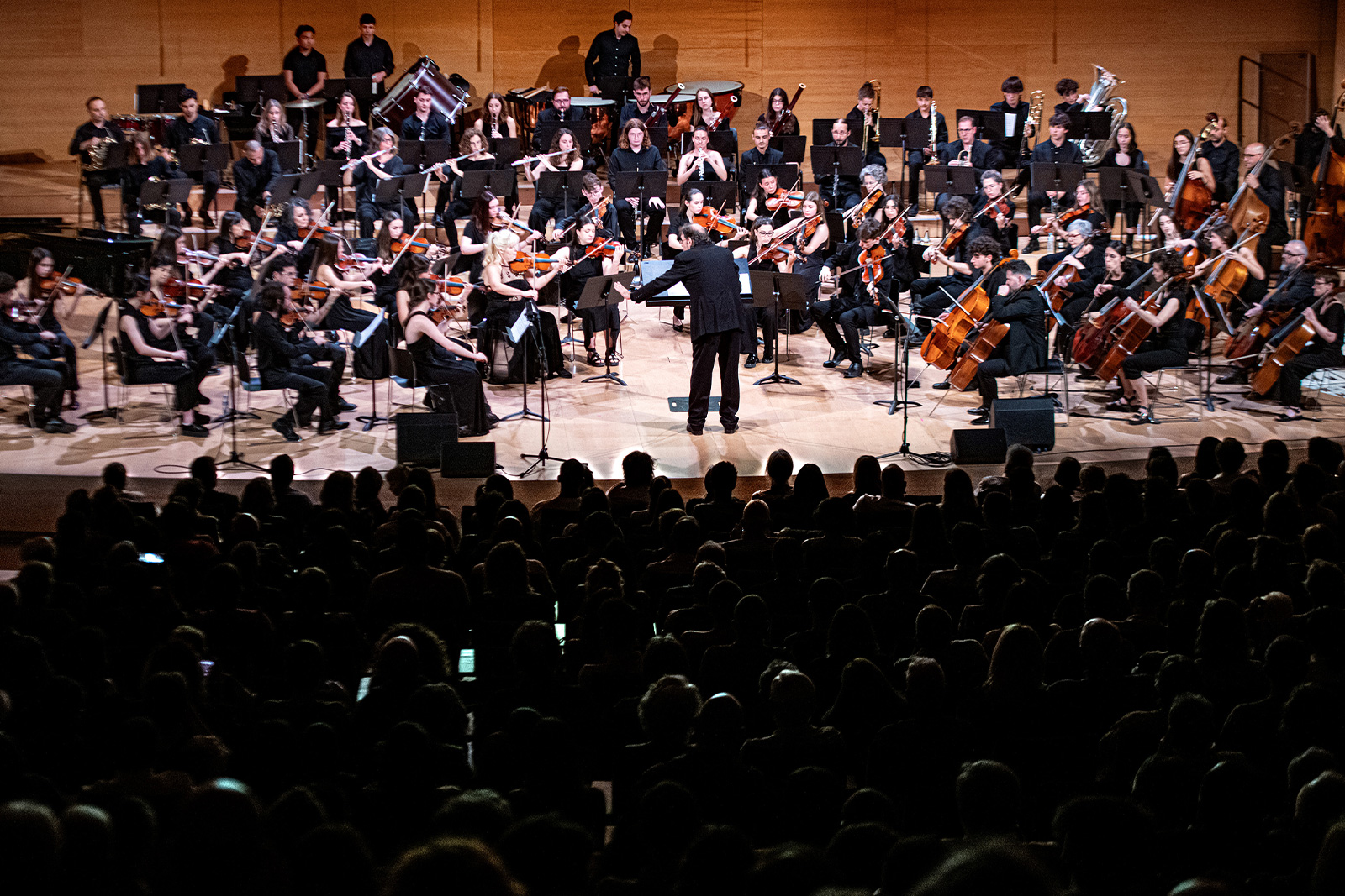 Concert nocturn de clàssica a la Platja Gran