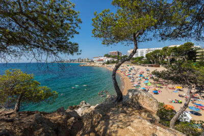 Fem Platja! Ajuda’ns a millorar (enquesta)