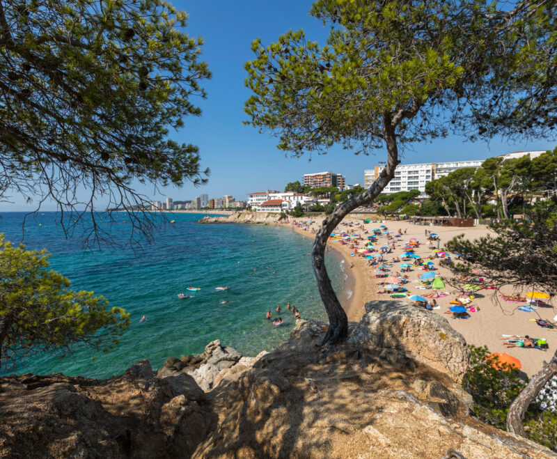 Imatge Fem Platja! Ajuda’ns a millorar (enquesta)